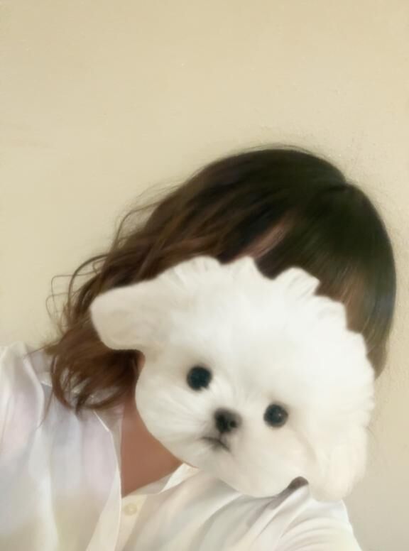 質問回答2回目！