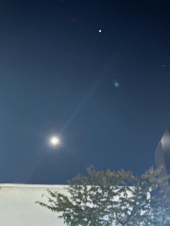 一番星みつけた！