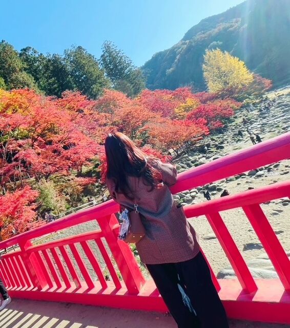 おやすみなさい