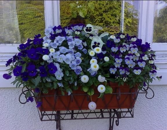 個人的なご報告