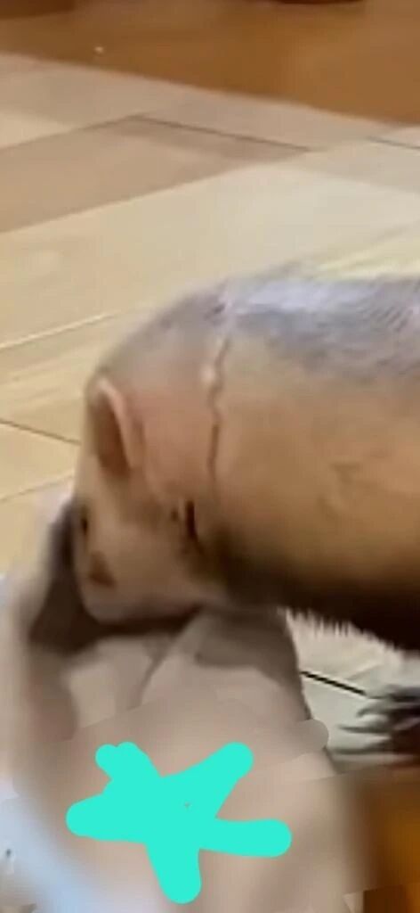 私の家族&#128516;