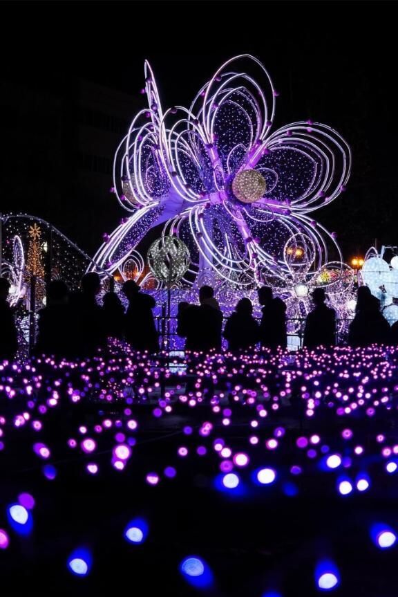 ♡♡　みたよ　♡♡