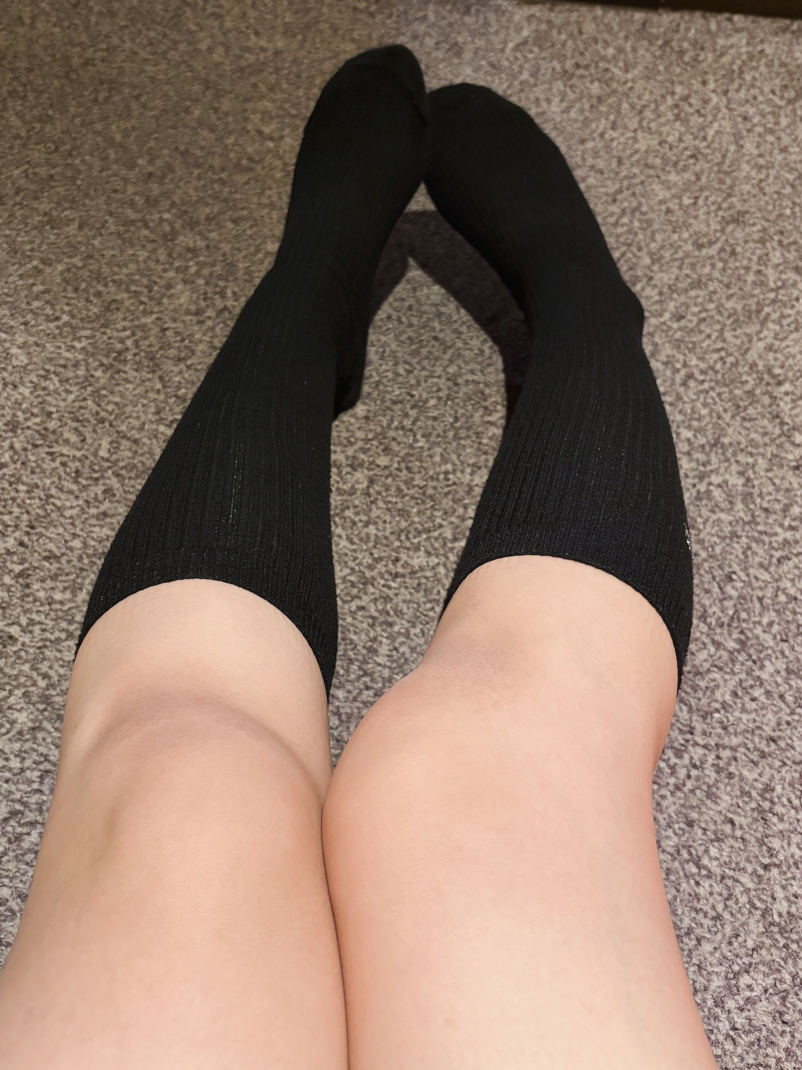 本日16時まで！