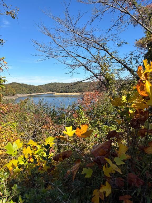 [お題]from:さよりさん