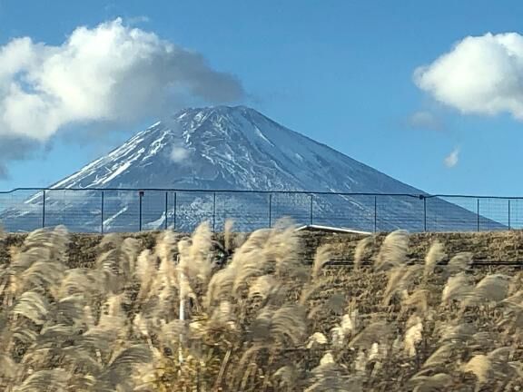 12.11水曜日出勤します♡♡