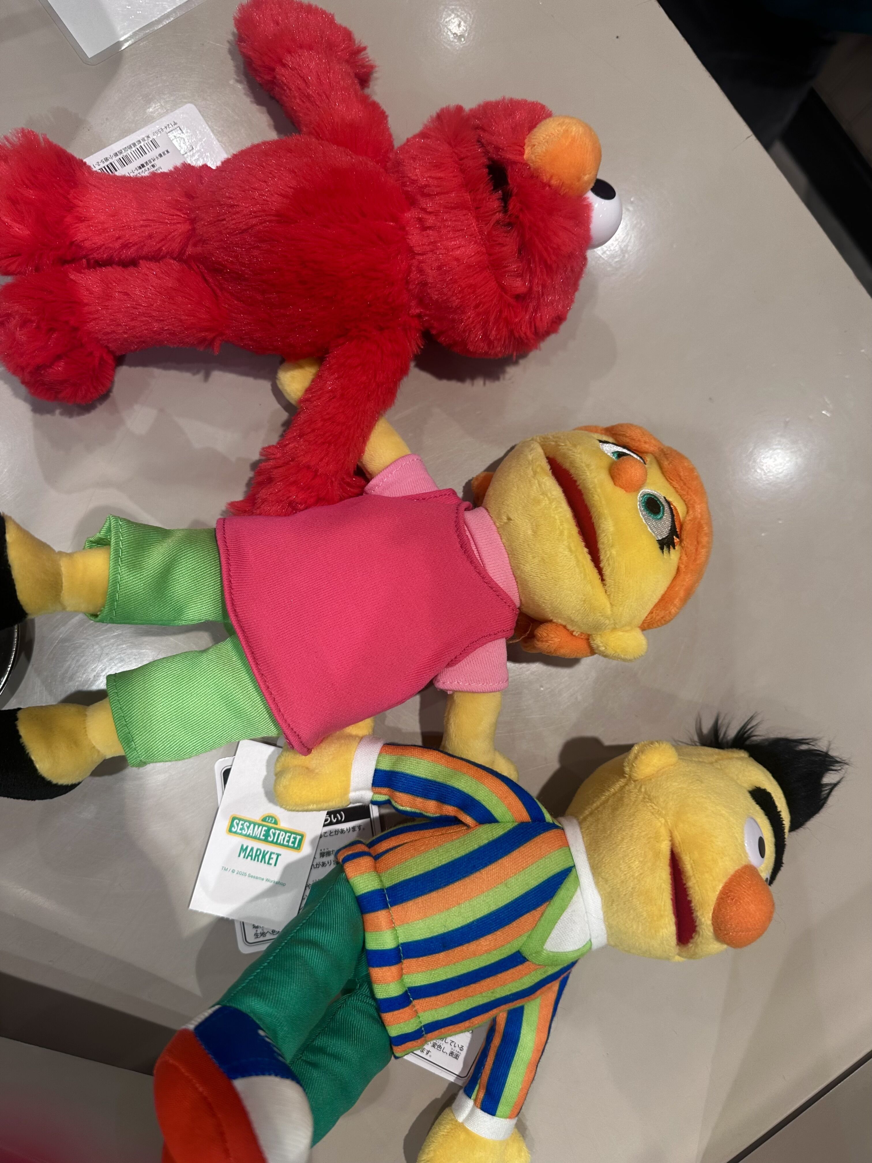 ミニ❤️お持ち帰りしてきた