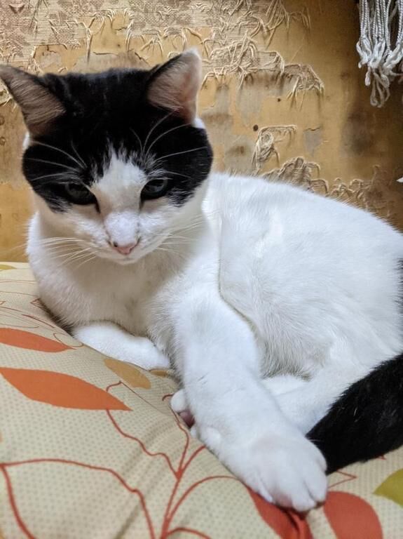 いつもと違う所