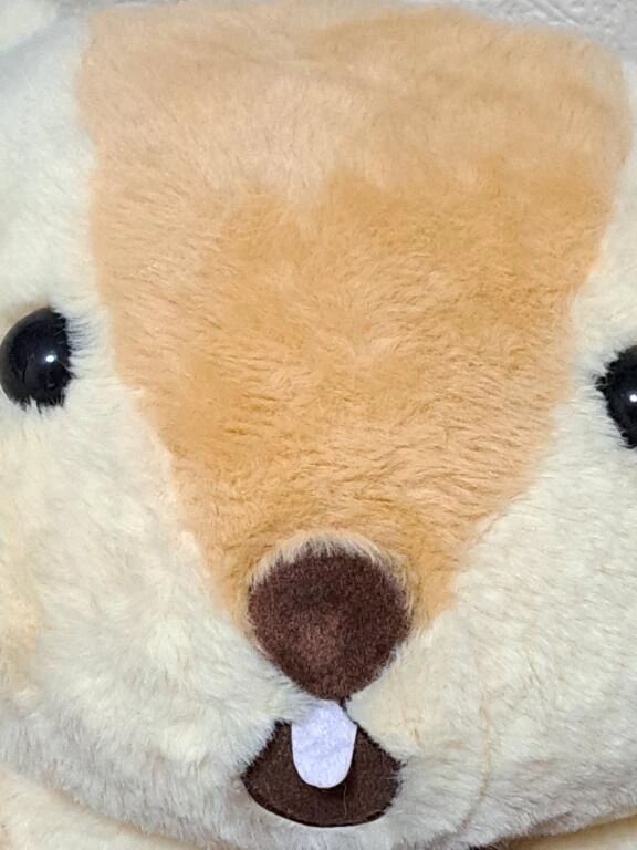 はるかさん凉