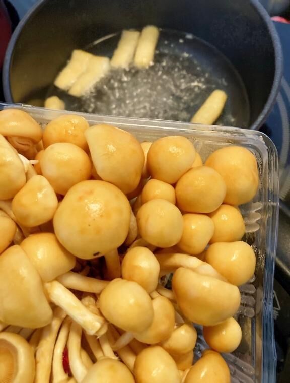 オススメなめこ