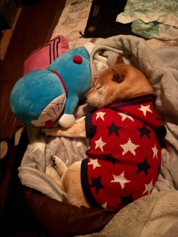 ♡♡久しぶりに行きました…♡♡♡♡