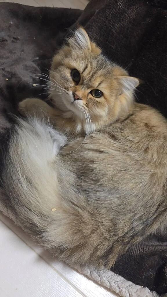 深夜のご挨拶