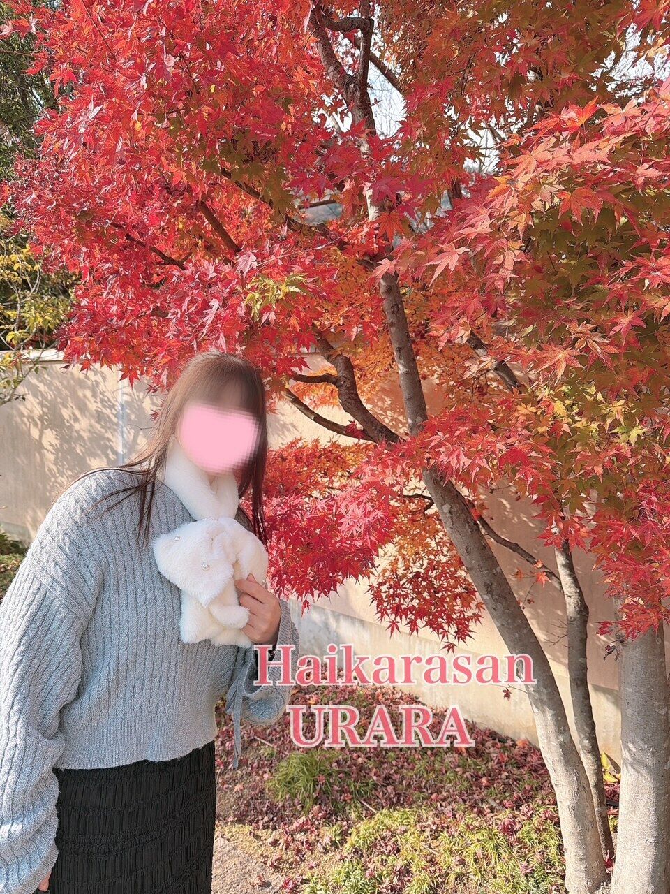 おはようございます