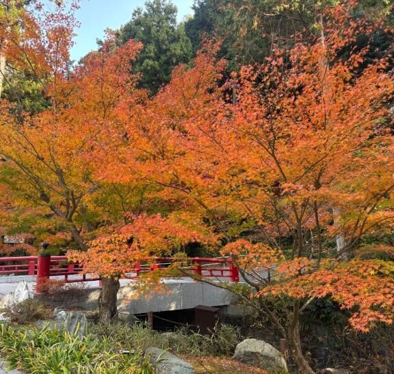 長期休暇　お知らせ(;o;)