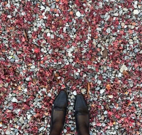 おはおは‪‬