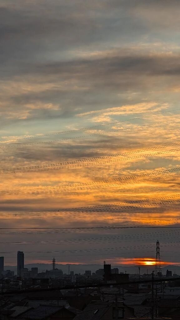 出勤しましたよ☺️