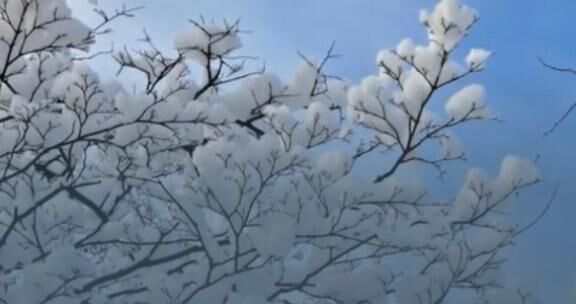 お礼♡♡12時40分からのお客様