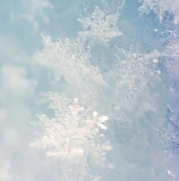 すみません…。