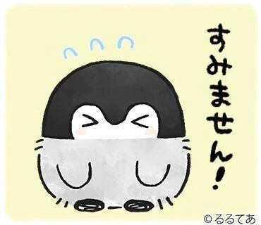 今週はお休みいただく事になりました