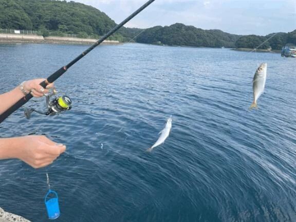 ありがとうです