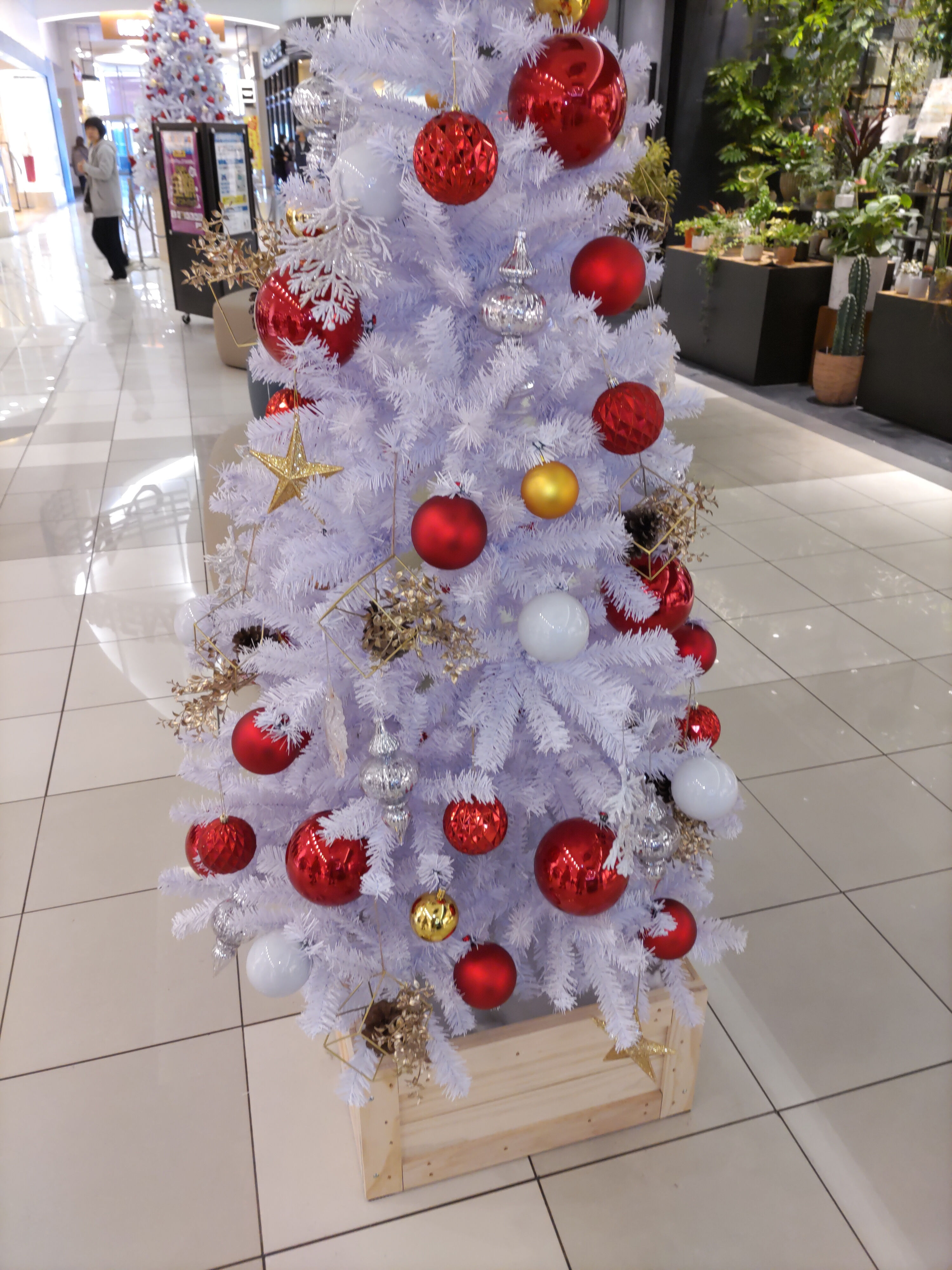 (⁠｡⁠ŏ⁠﹏⁠ŏ⁠)