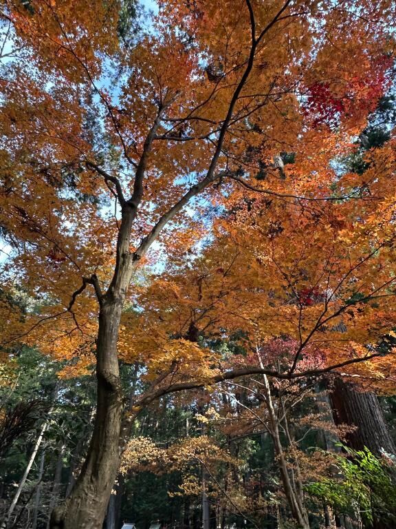 こんばんは！！！！！