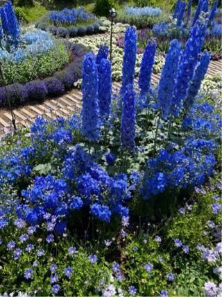 ありがとうございました