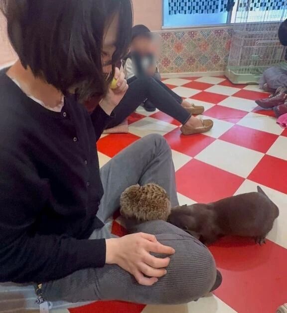 カワウソカフェ❤️