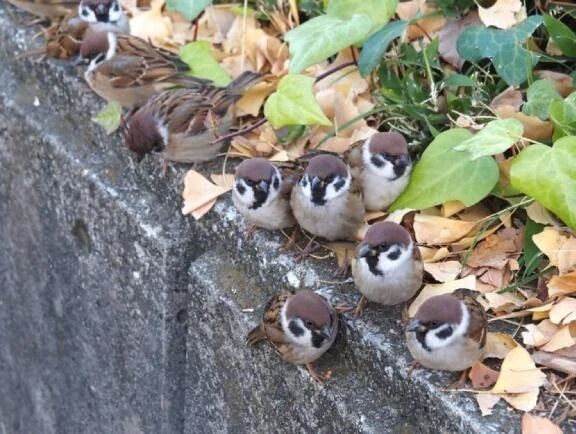 おはようございます...