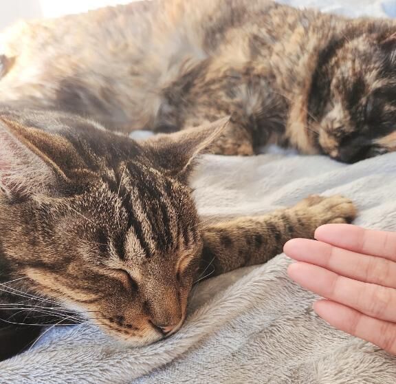 [お題]from:当たってた？さん