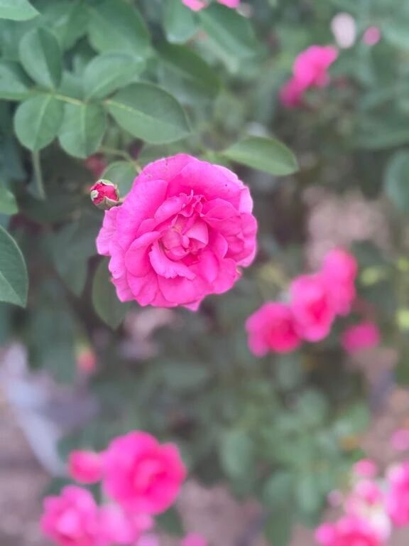 出勤してます♪