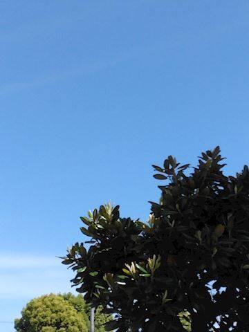 スッキリ青空〜♪