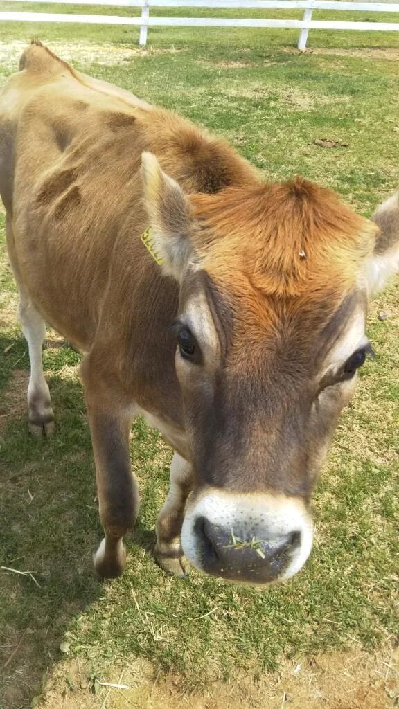 たんのう…ᡣ୩