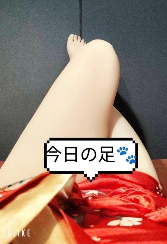 今日の足