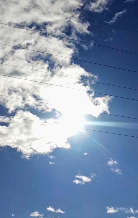 李こんにちは李