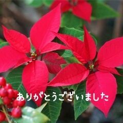 ありがとうございました