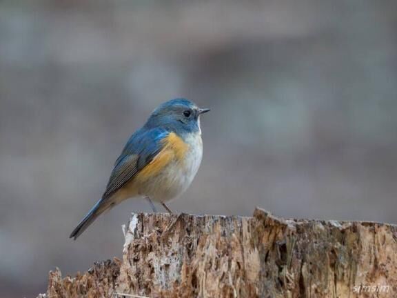 こんにちは&#9825;