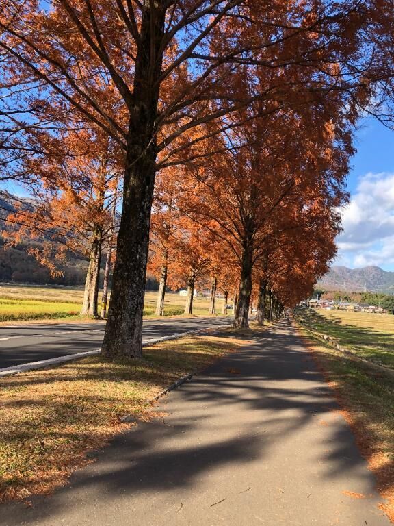&#x301C;本日のお礼&#x301C;S様