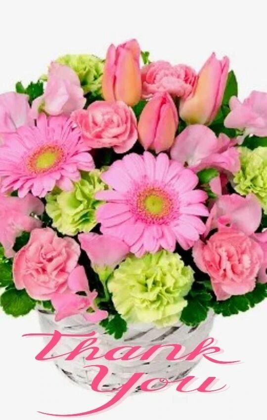 ✨3日みたよ♪の女の子会員の皆様✨