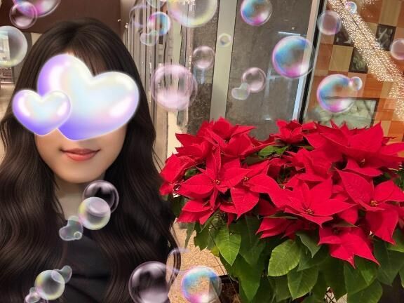 冬の花：赤いきらめき