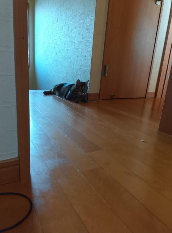 出勤しましたぁ