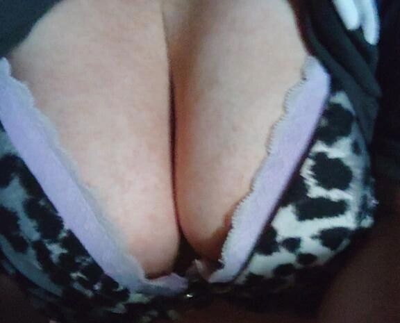 出勤しました