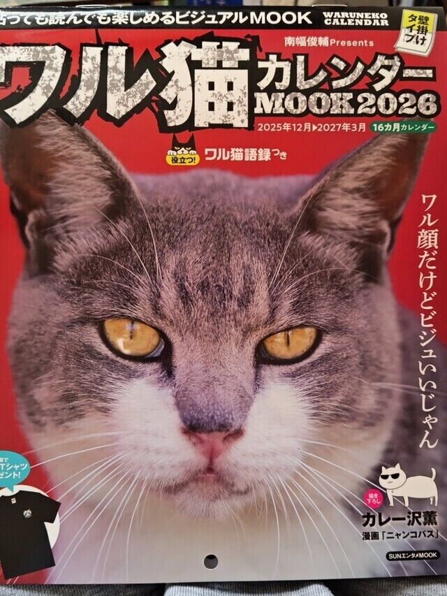 来年もワル猫