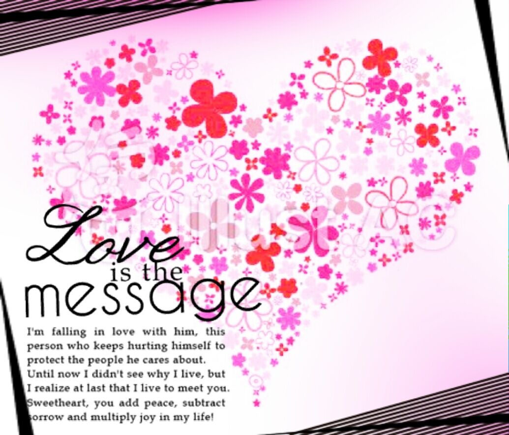 ♡♡♡♡ ♡♡♡♡