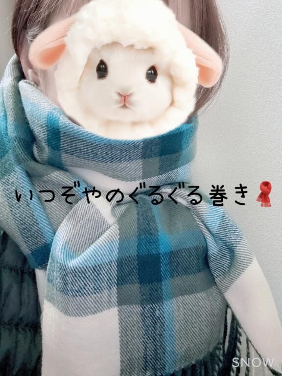 ありがとうございました(*^^*)