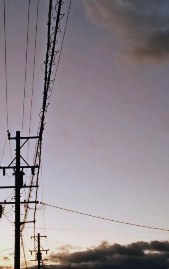 ⭐こんばんは⭐