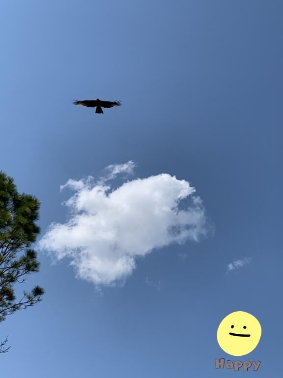 おはようございます♪