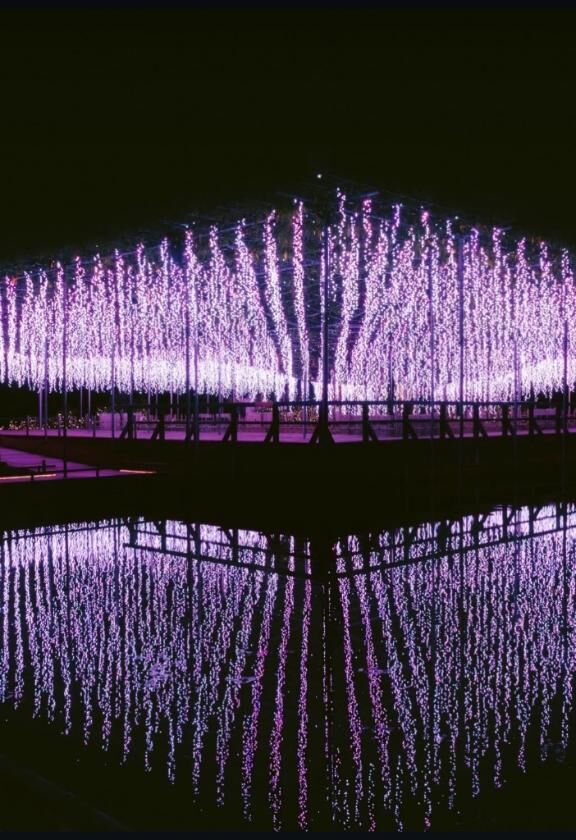 ♡♡　みたよ　♡♡