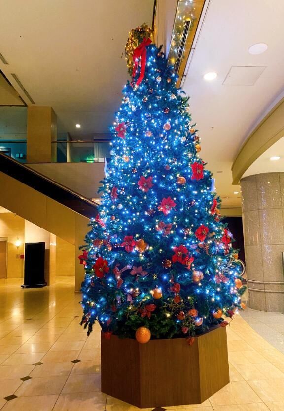 出勤予定・ご予約