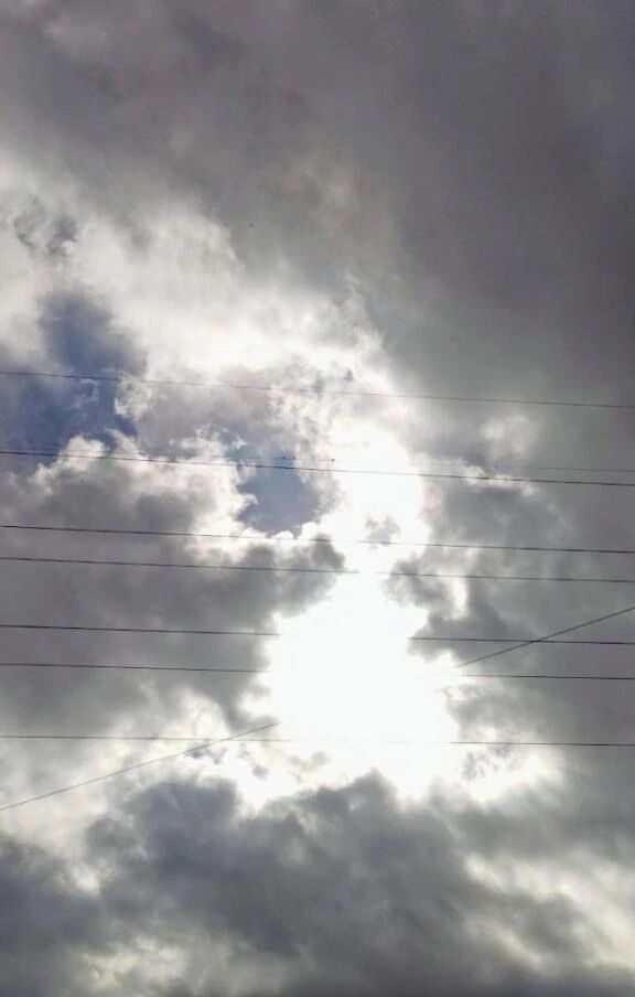 李こんにちは李