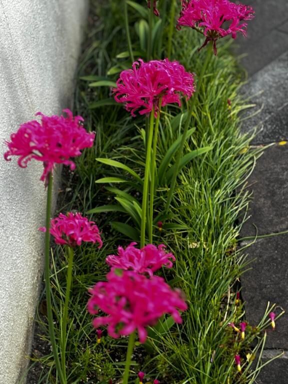 〇わば穴ふたつ...♡